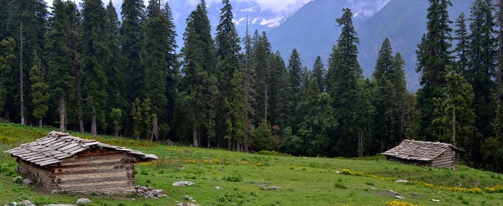 Nag Tibba Camping